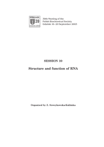 Structure and function of RNA