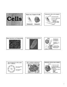 There are 2 types of cells.