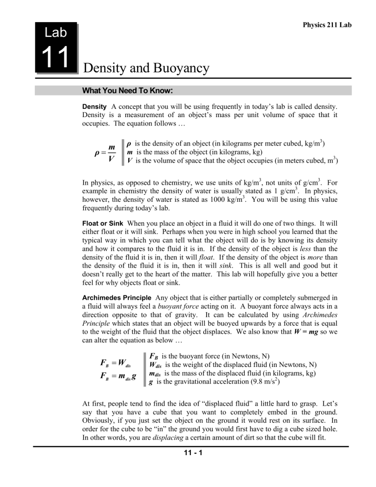 11 Density And Buoyancy