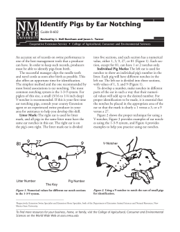 pig notching worksheet - Sonoma Valley High School