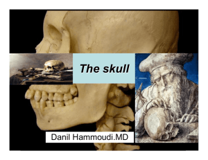 Skull presentation - Sinoemedicalassociation.org