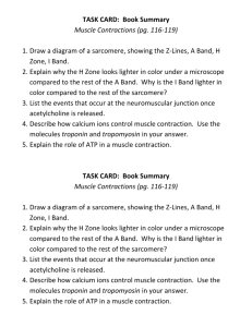 TASK CARD: Book Summary Muscle Contractions (pg. 116