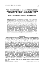 The importance of sorediate crustose lichens in the epiphytic