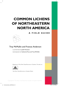 Common LiChens of northeastern north ameriCa