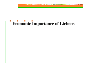 Economic Importance of Lichens