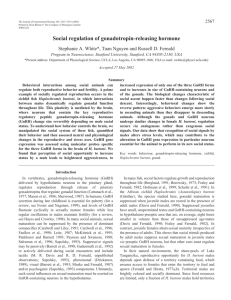 Social regulation of GnRH - Journal of Experimental Biology