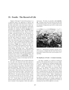 Chapter 33: Fossils: The Record of Life