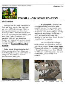 FOSSILS AND FOSSILIZATION