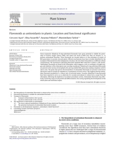 Flavonoids as antioxidants in plants: Location