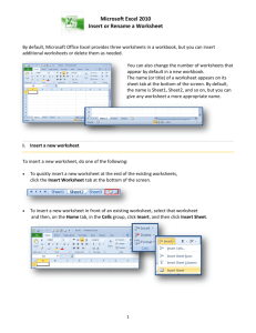 Microsoft Excel 2010 Insert or Rename a Worksheet