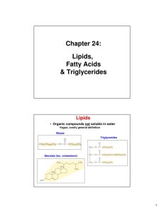 Chapter 24: Lipids, Fatty Acids & Triglycerides
