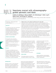 Vasectomy reversal with ultrasonographyguided spermatic cord block