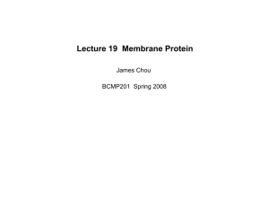 Lecture 19 Membrane Protein - The Center for Molecular and