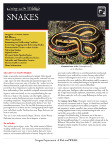 snakes - Oregon Department of Fish and Wildlife