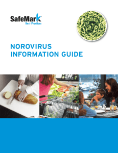 norovirus information guide