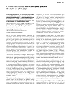 Chromatin boundaries: Punctuating the genome