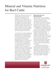 P2484 Mineral and Vitamin Nutrition for Beef Cattle