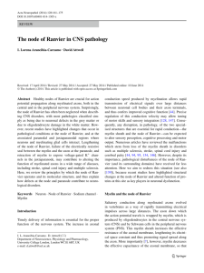 The node of Ranvier in CNS pathology