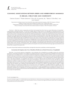 cleaning associations between birds and herbivorous mammals