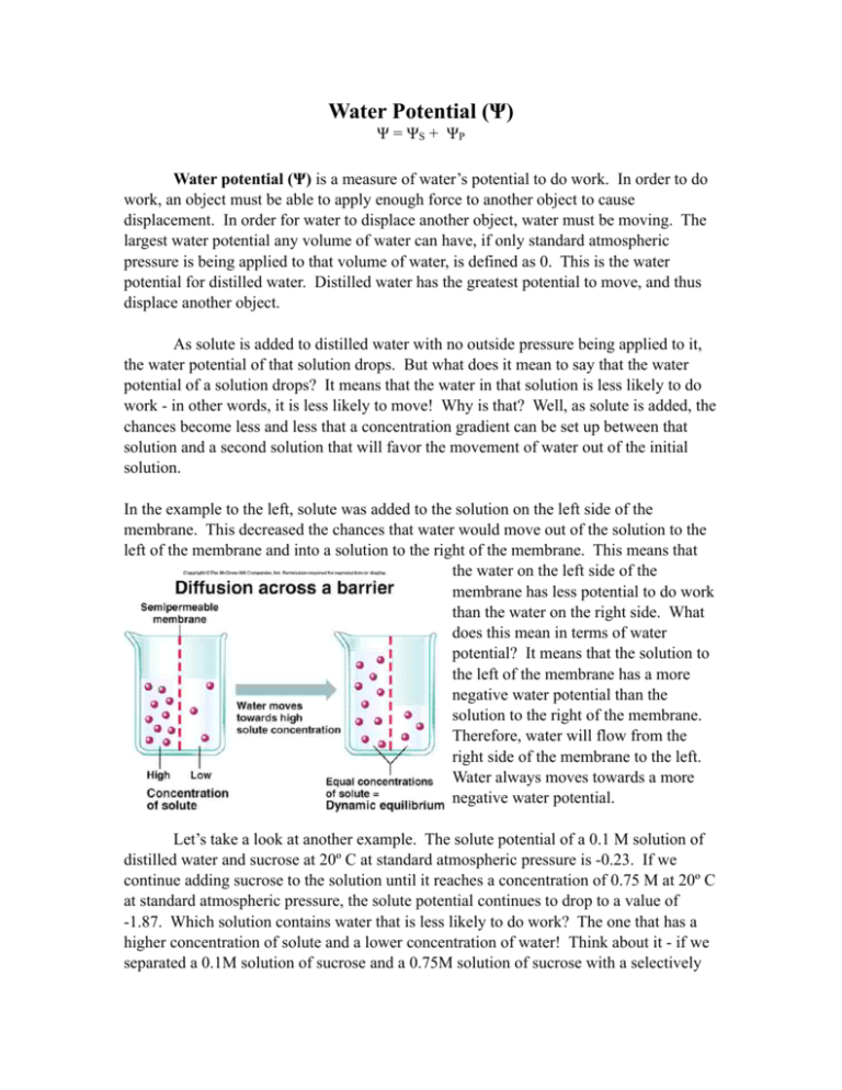 Water potential