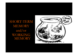 SHORT TERM SHORT-TERM MEMORY and/or