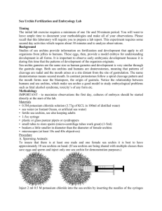 Sea Urchin Fertilization and Embryology Lab Timing The initial lab