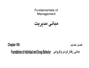 Chapter VIII: Foundations of Individual and Group Behavior