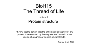 Proteins - Structures and functions