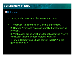 8.2 Structure of DNA - Clinton Public School District