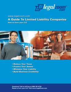 A Guide To Limited Liability Companies