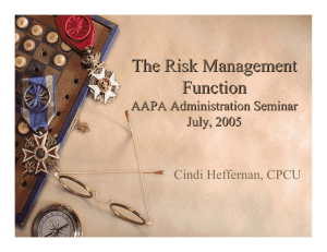 The Risk Management Function