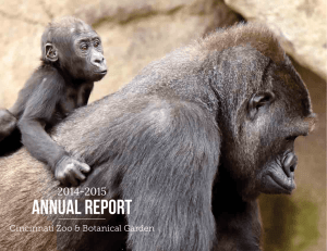annual report - Cincinnati Zoo