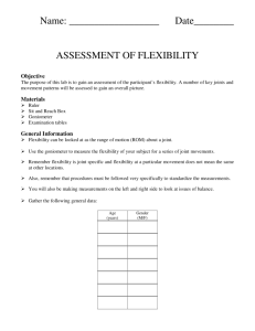 Flexibility Assessment Lab