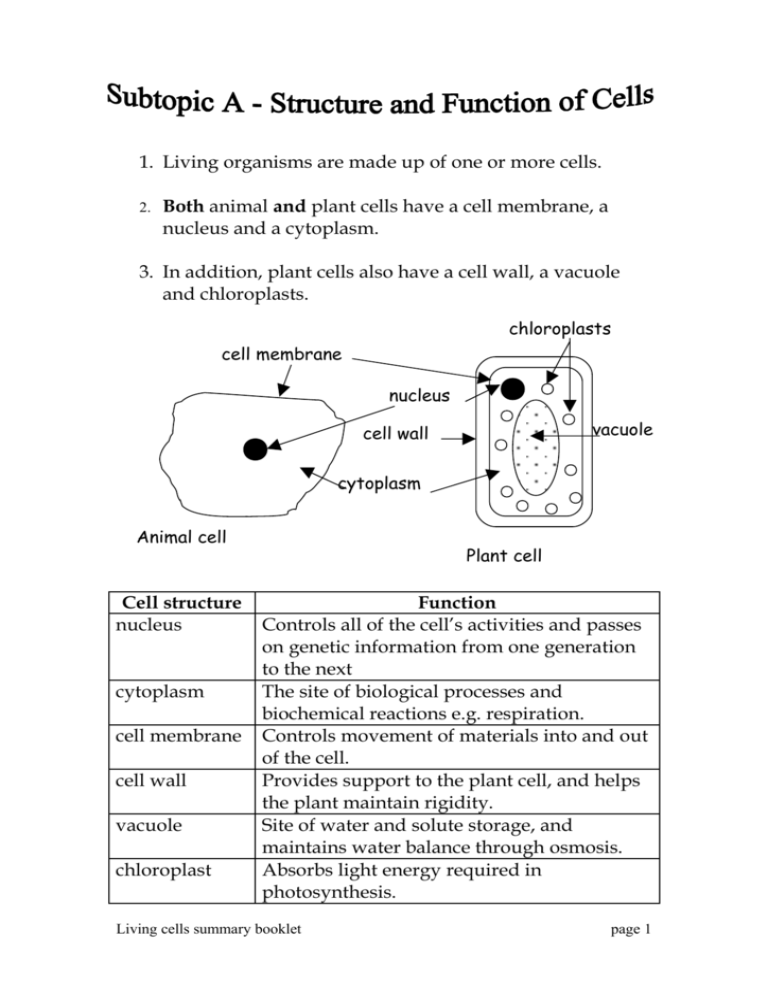 1 Living Organisms Are Made Up Of One Or More Cells 2 Both