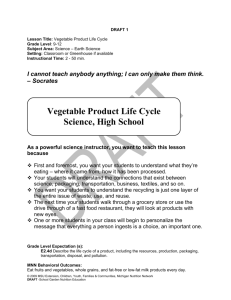 High School - Vegetable Product Life Cycle