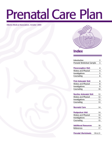 Prenatal Care Plan