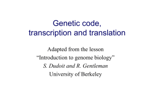 Genetic code, transcription and translation