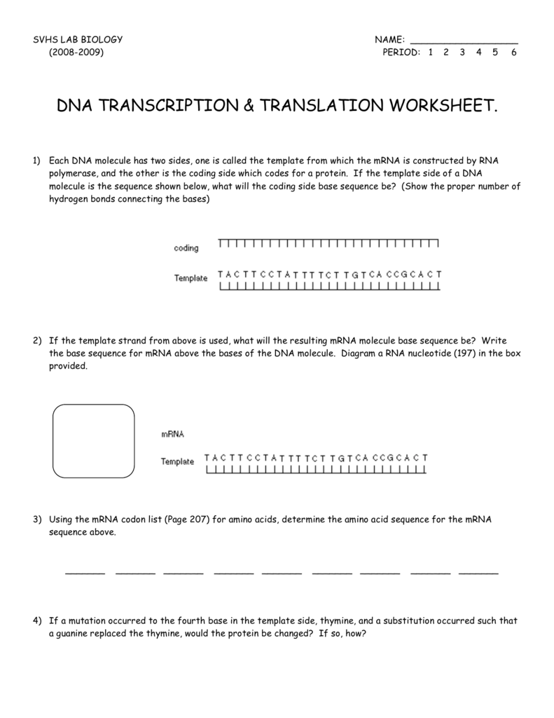 dna transcription & translation worksheet. With Regard To Transcription And Translation Worksheet