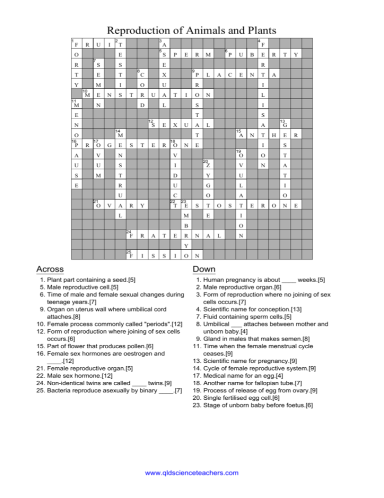 Reproduction Crossword Answers