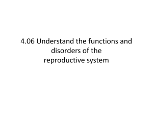 What is the function of the male reproductive system?