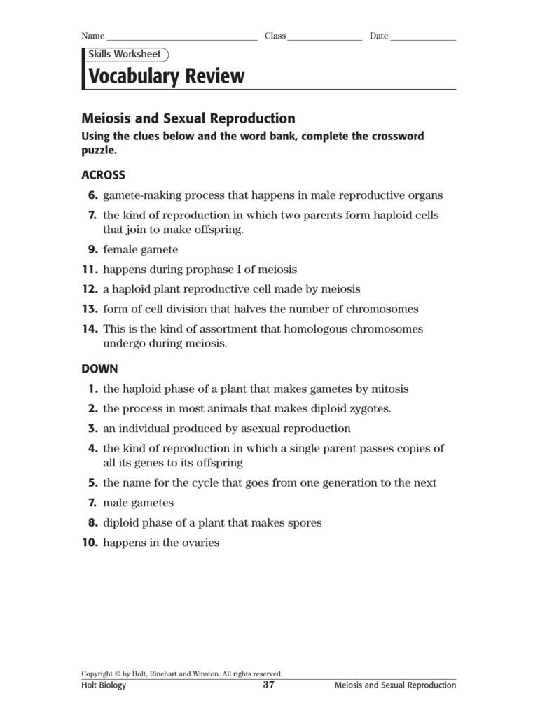 Biology Inclusion batch25.qxd Inside Meiosis Worksheet Vocabulary Answers