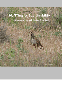 Spanish Research Briefings - Hunting for sustainability