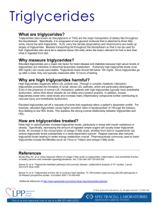 Triglycerides - SpectraCell Laboratories