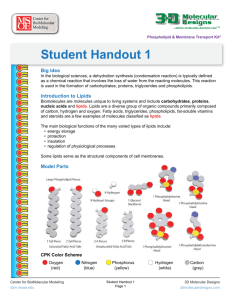 PMTK Student Handout 1
