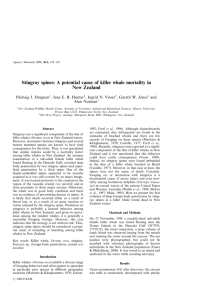 Stingray spines: A potential cause of killer whale