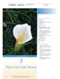 5 Plant Life Cycle: Flowers