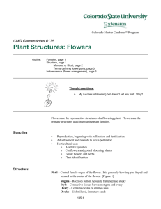 Plant Structures: Flowers - Colorado State University Extension
