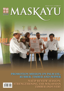 natip review session: strengthening the malaysian timber