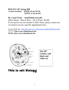 This is cell biology