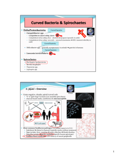 Curved Bacteria & Spirochaetes